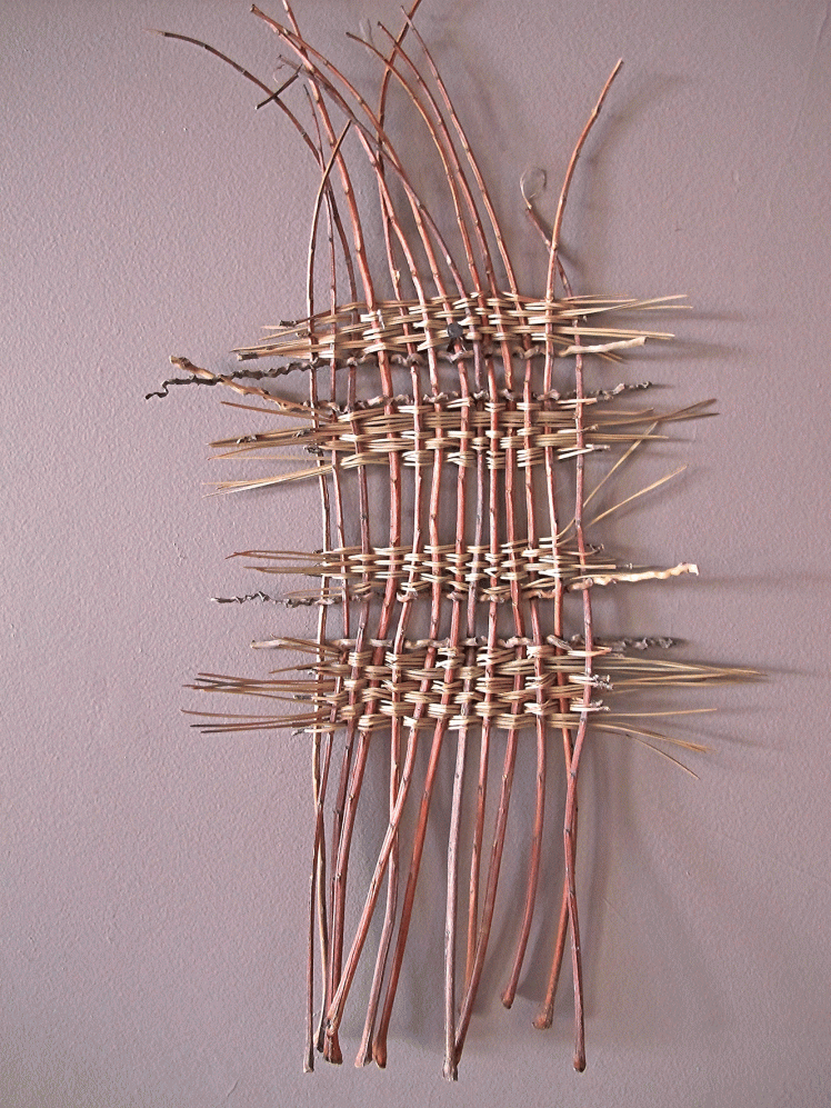 Entwining Entwining, Jacaranda-leaf-stems-WEB – Sharon D Clifford